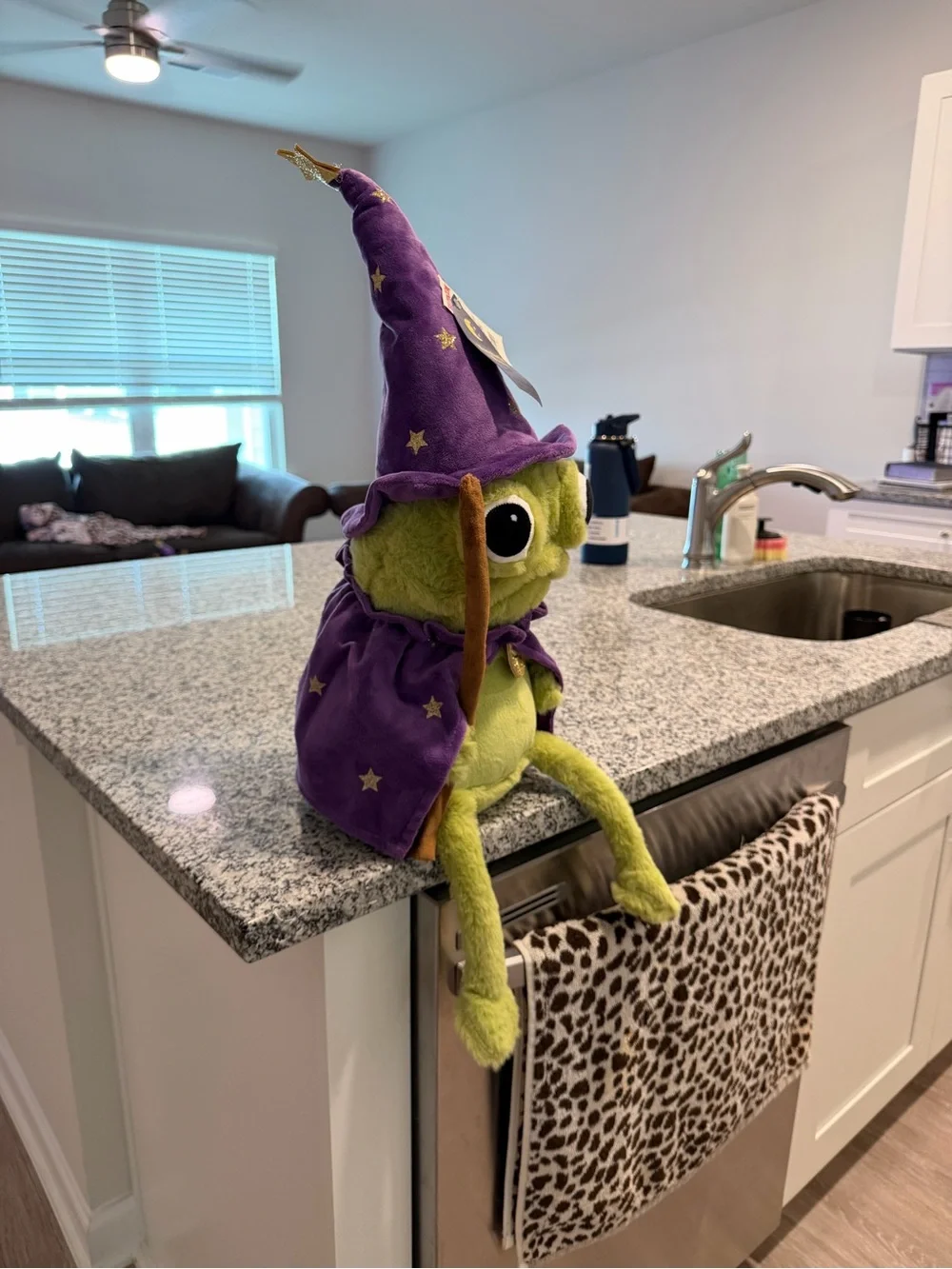 Moonlight Manor Wizard Frog